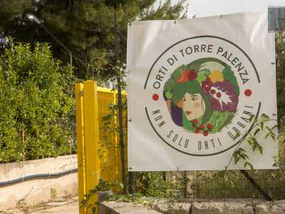 Via Fanelli, residence Borgo Bello: � qui che si trova la prima delle due casematte curate dall'ex avvocato Franco Sasso, nel bel mezzo degli orti urbani di Torre Palenza 